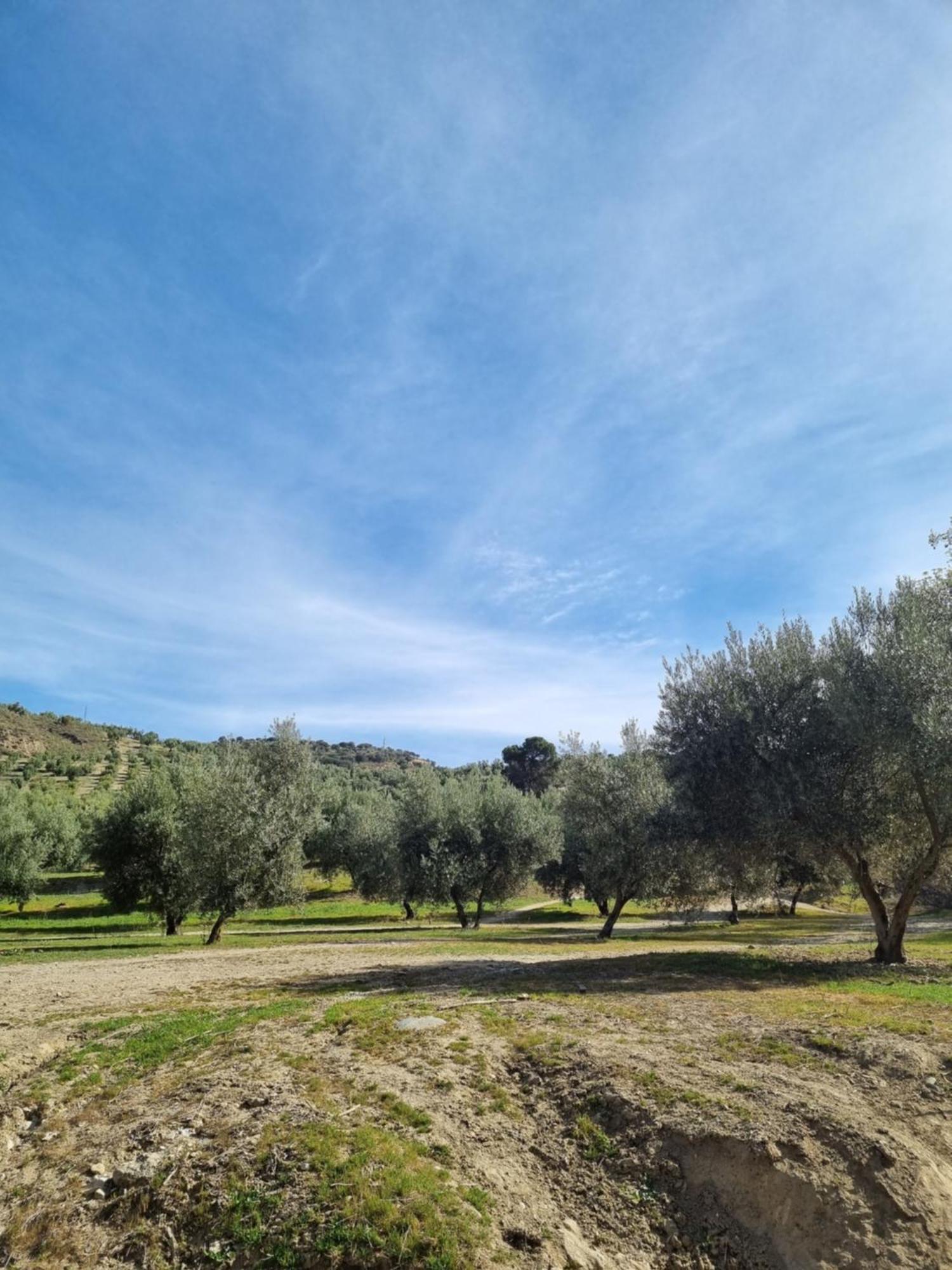 La Colina Ladyblue Apto Acogedor Cerca De Sierra Nevada Y Alhambra Сенес-де-ла-Веґа Екстер'єр фото