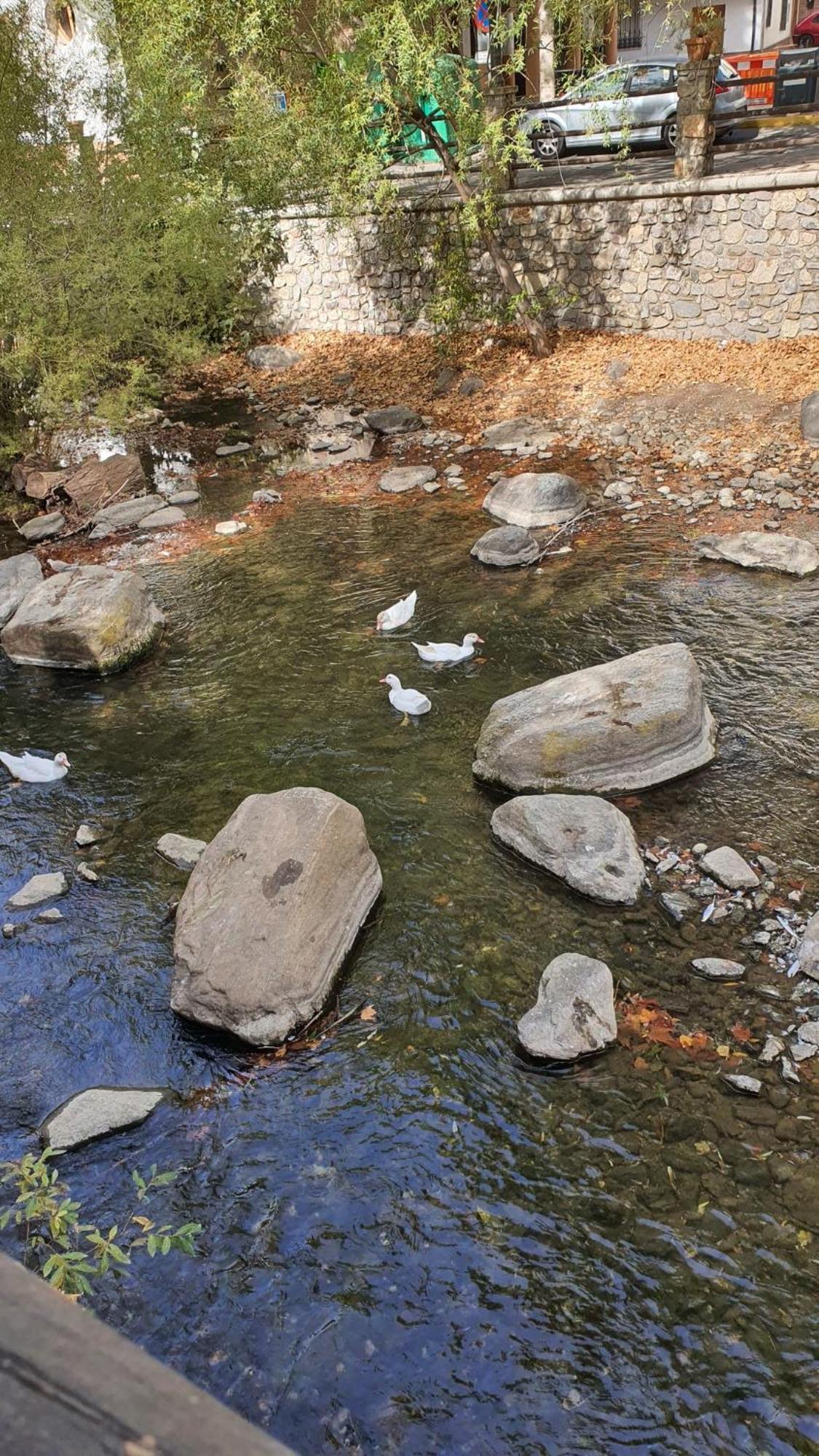 La Colina Ladyblue Apto Acogedor Cerca De Sierra Nevada Y Alhambra Сенес-де-ла-Веґа Екстер'єр фото